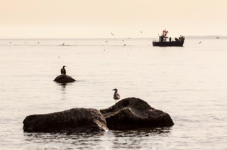 ostsee vor boltenhagen