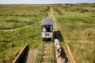 nordseeinsel spiekeroog