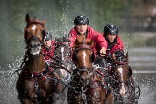 marathonfahrt vierspänner ponies donaueschingen 