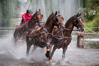 marathonfahrt vierspänner grosspferde donaueschingen 