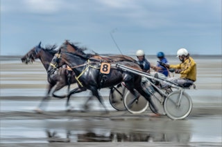 traber beim duhner wattrennen