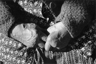 aus der "fotoreportage annas letzter herbst": annas von gicht und rheuma geplagte hände